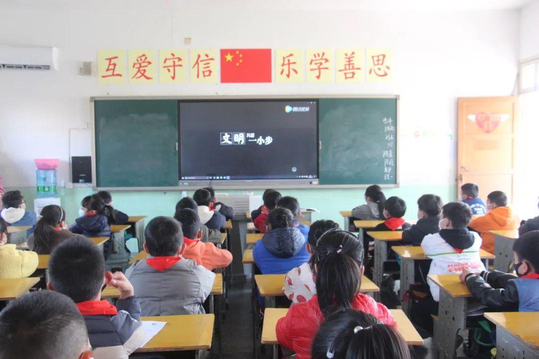 细胞分裂6